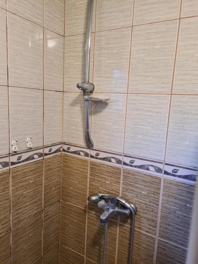 Saray Downtown Apartment Private Parking Free Wifi Sarajevo Bagian luar foto